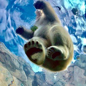 Meet your Posher, Areli